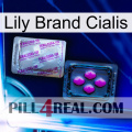 Lily Brand Cialis 37